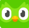 Duolingo Download Android Guide: How to Install, Use, and Get the Most From Duolingo